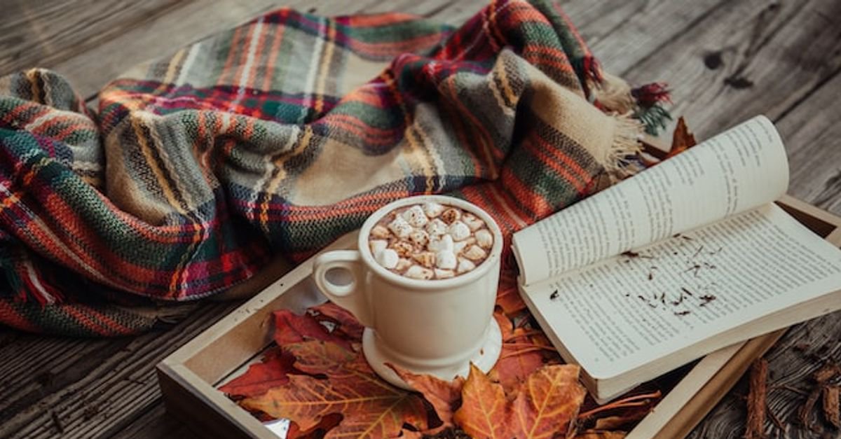 What needs to be done before the end of fall: 9 ideas